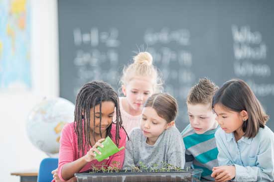 Though you should always consult a professional before giving medicinal herbs to kids, brahmi has been found to improve memory and concentration in children.